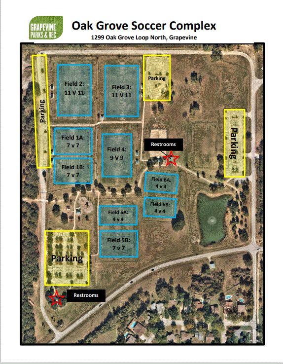 field-layout-information