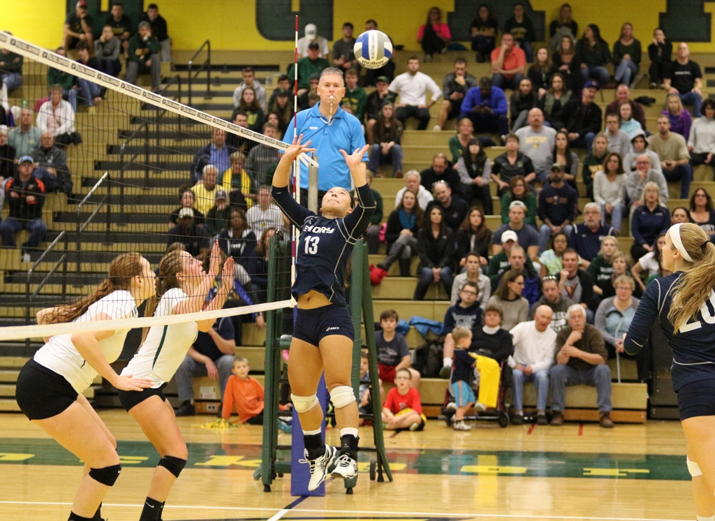 Setter Training Camp July 7th