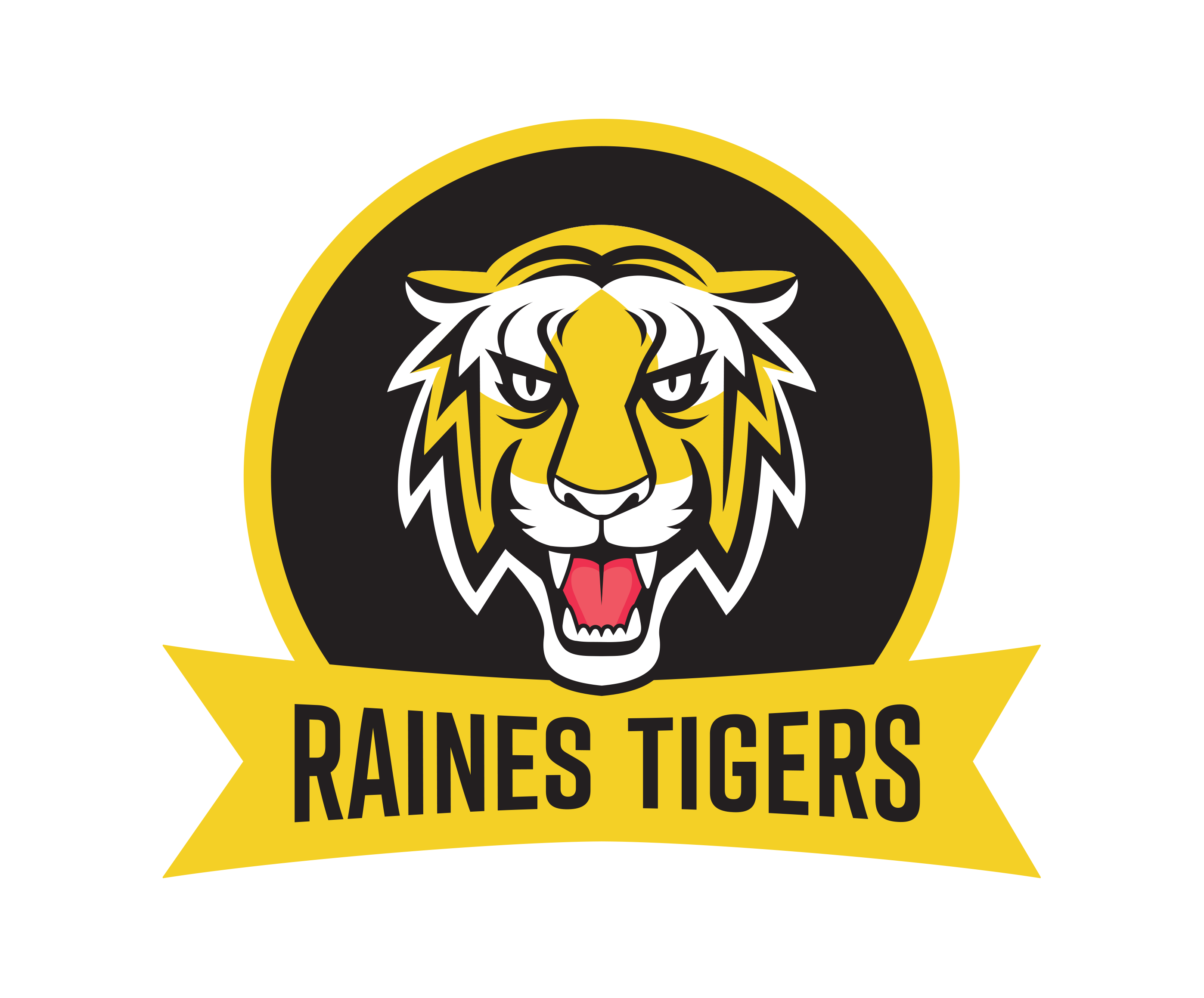 Raines Tigers