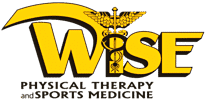 Wise Physical Therapy Logo