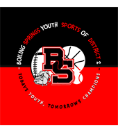 D2 Youth Sports logo