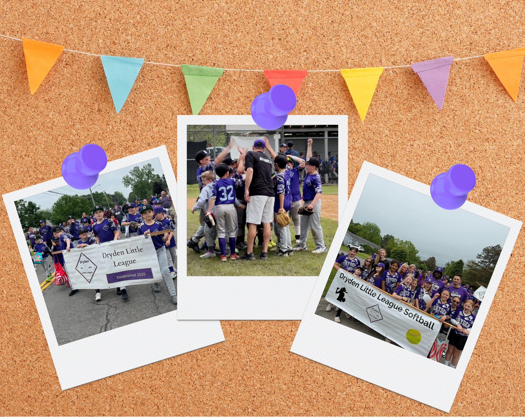 Dryden Little League Baseball and Softball Clinics