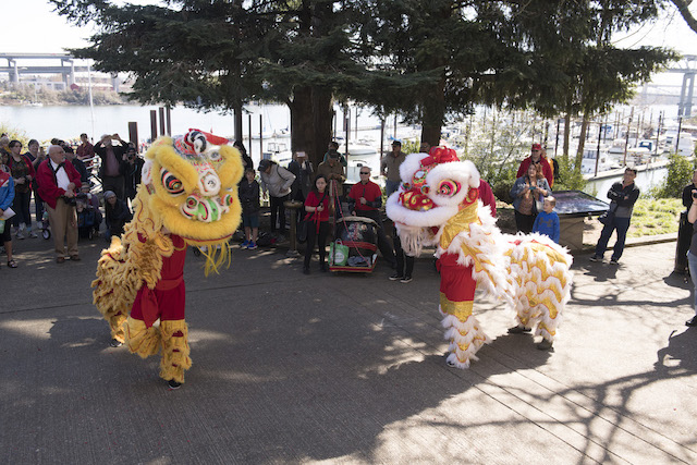 Dancing Lions