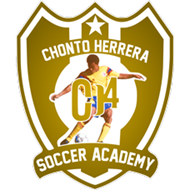 CH4 SOCCER ACADEMY logo