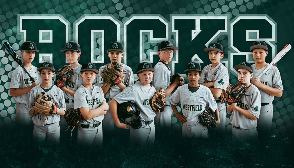 Travel Baseball