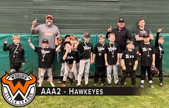 Hawkeyes